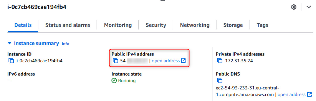 ringq Public IPv4 Address