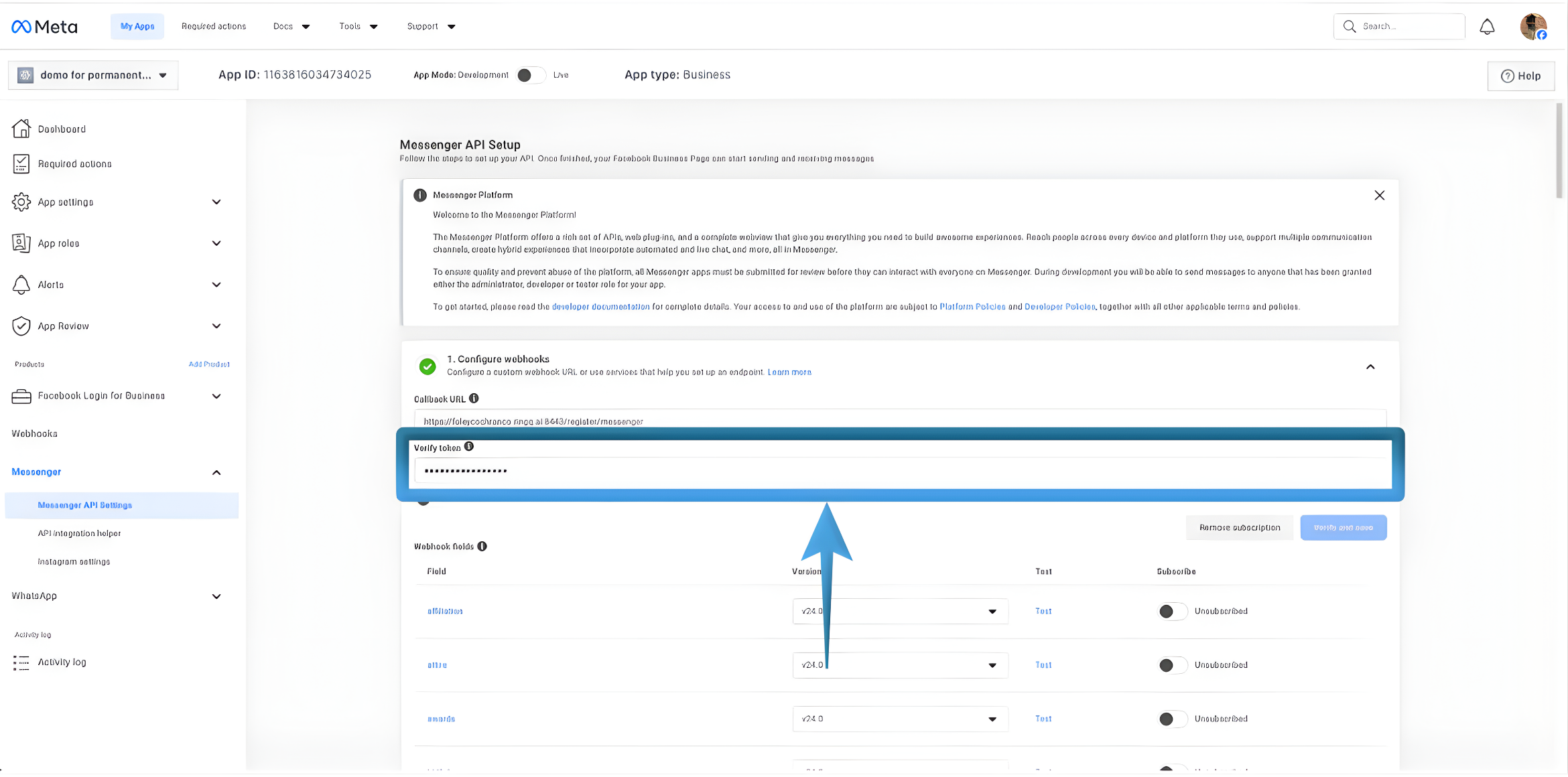 Copy the verification token
